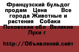 Французский бульдог продам › Цена ­ 1 - Все города Животные и растения » Собаки   . Псковская обл.,Великие Луки г.